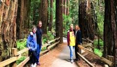 Muir Woods National Monument - National Park Service